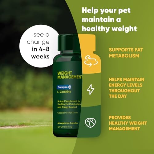 Rooted Owl pet supplement capsule container side angle view