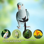 MinrzPet adjustable bird leashes displaying the complete set packaging and included components.