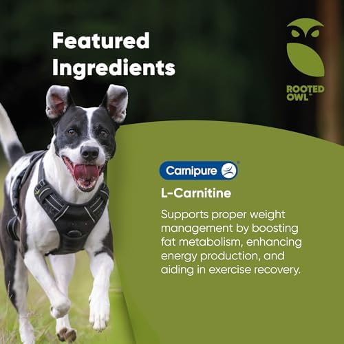 Rooted Owl weight management supplement label ingredient details