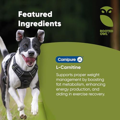 Rooted Owl metabolism capsules for healthy weight in dogs and cats