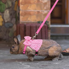 Quick release dual safety buckles on adjustable pink small pet vest