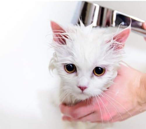 Pettivo hypoallergenic pet care pack highlighting its pH-balanced formulation.