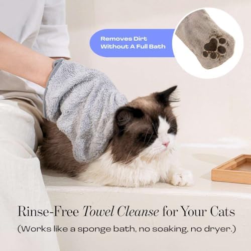 Diluting Muddi Pet dry cat shampoo capsule in warm water