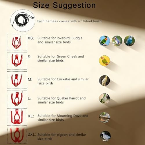 Adjustable five level bird safety vest for outdoor flight training.
