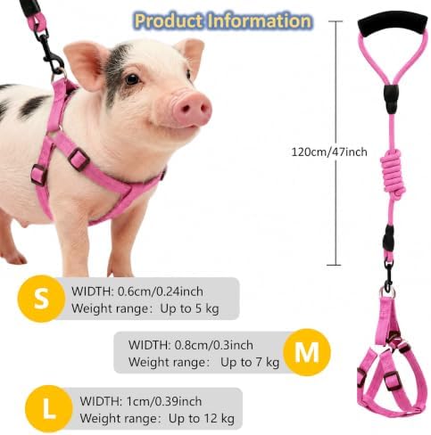 Pink small size infinity style loop harness for training mini pigs.
