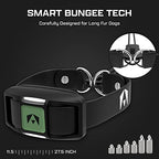 Invirox training collar remote control buttons and lock feature