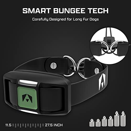 Invirox training collar remote control buttons and lock feature