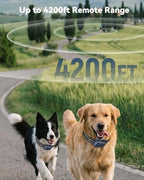 Jugbow dual dog training remote control interface displaying correction levels