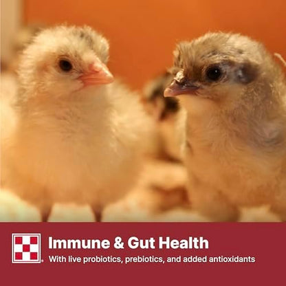 Medicated chick feed crumbles container showing premium bird food details