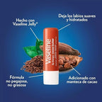 Vaseline cocoa butter lip balm twin pack in retail box