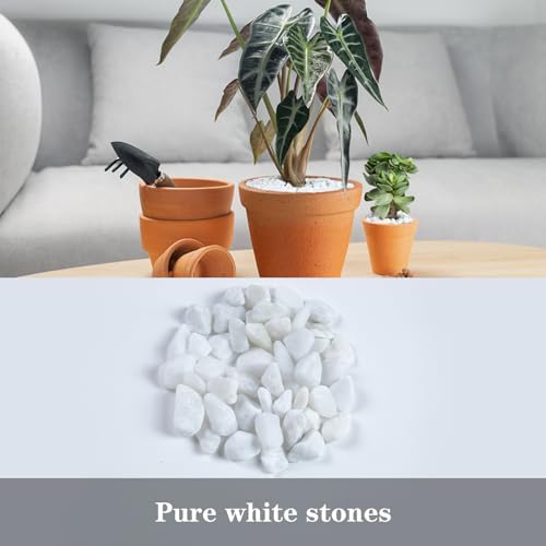 Ausluru pebbles for garden and home decor