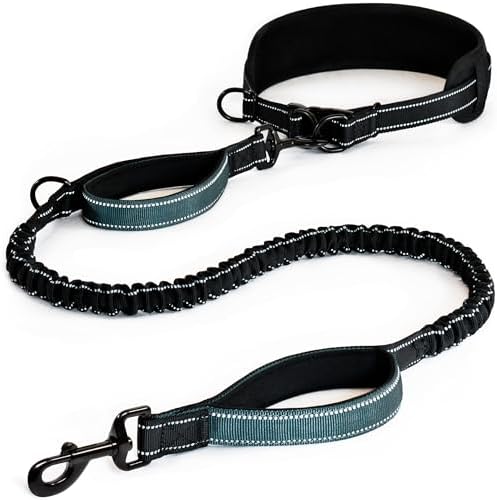 DearWells waist dog running leash with shock absorbing rope bungee extended.