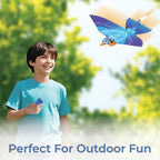 Go Go Bird flying bird toy with handheld remote control