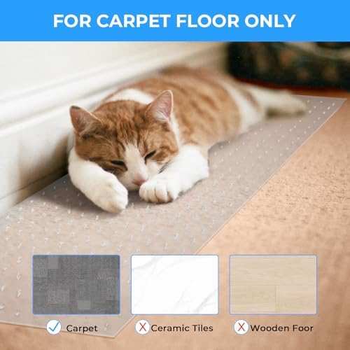 Minimalist clear under door mat applied on a domestic room carpet