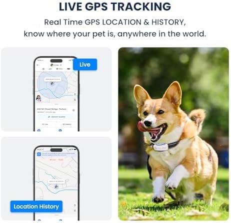 Real time location tracking device attached to a white collar