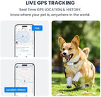 Real time location tracking device attached to a white collar