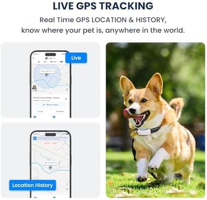 Real time location tracking device attached to a white collar