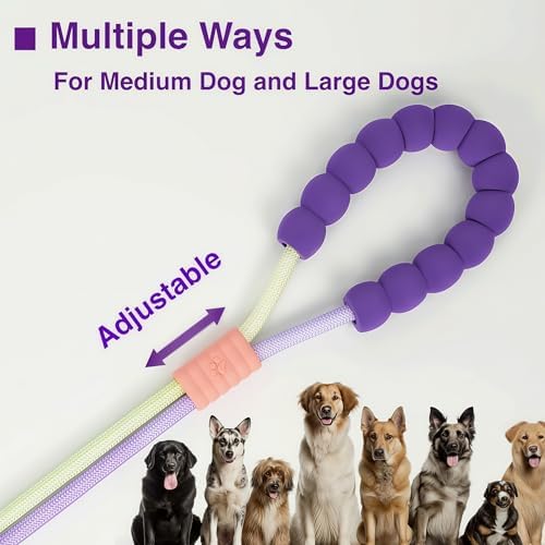 Rotating metal clip on heavy duty dog leash