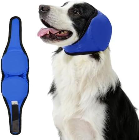 Blue dog ear muffs for noise reduction and anxiety