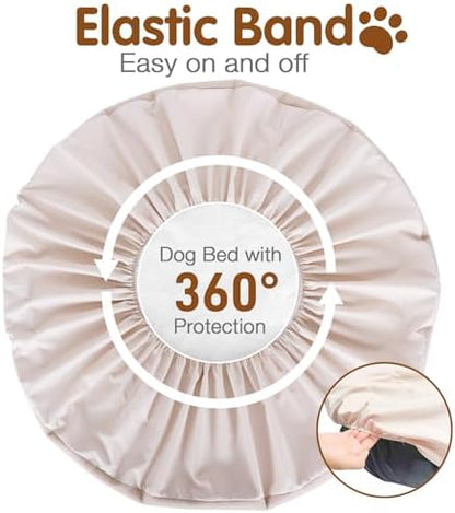 Waterproof material demonstration on premium ALWZ-RDY pet accessory