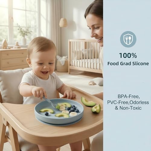 Top view of BPA free silicone suction plates for kids