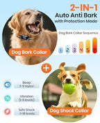 Complete premium pet training kit box contents including remote and dual collars