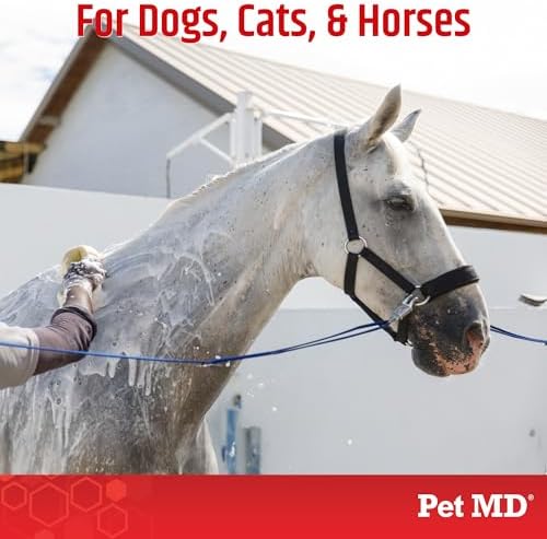 Antiseptic pet shampoo for managing hot spots and ringworm