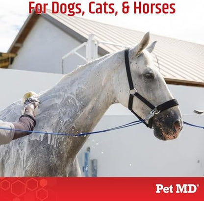 Antiseptic pet shampoo for managing hot spots and ringworm
