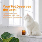 Dog and cat skin care shampoo for persistent odor control