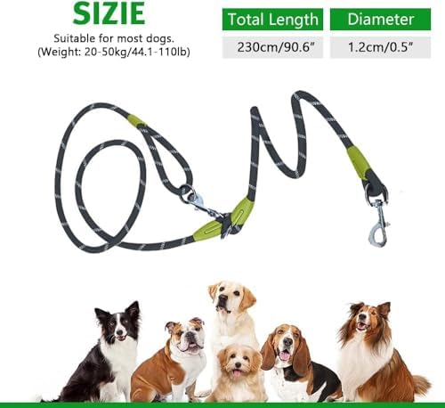 Close up of pawstrip nylon leash hardware and buckle