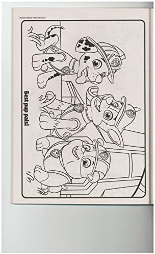 Back cover display of the genuine Nickelodeon licensed product detailing age recommendations.
