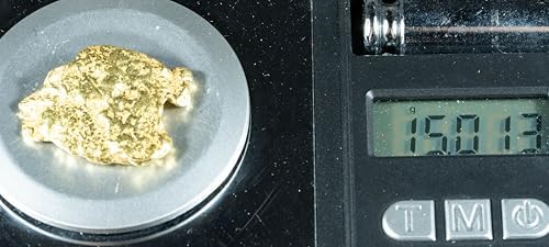 Nuggetsbygrant Number 467 Alaskan BC Natural Gold Nugget certified genuine piece