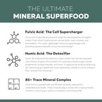 Back of bottle showing ingredients and supplement facts