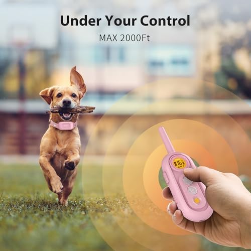 Digital LCD screen display on Patpet training remote