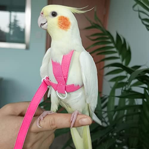 Vanfavori parrot harness featuring anti-chew metal chain