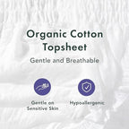 Close up view of Rael unscented disposable panty showing the soft organic cotton top sheet layer