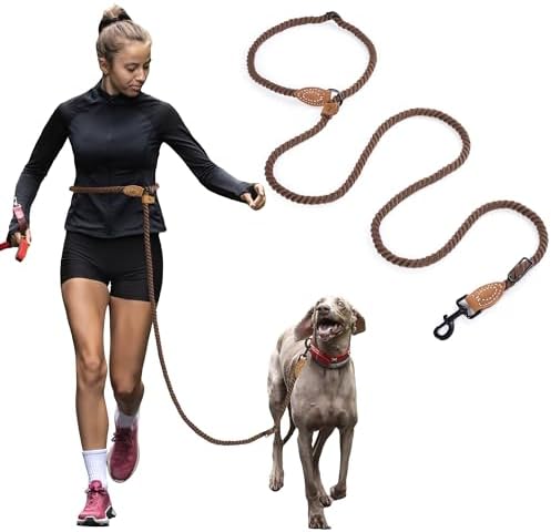 Mile High Life dog leash with genuine leather connection detail