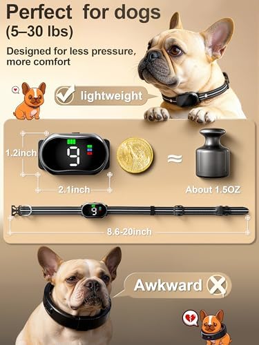 Veconix compact dog training collar kit including all necessary charging accessories