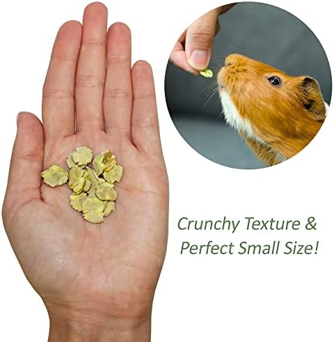 Exotic Nutrition green pea flakes container with small animal pet food