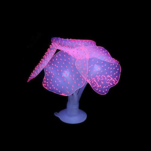 Close-up of soft silicone texture on glowing fish tank plant
