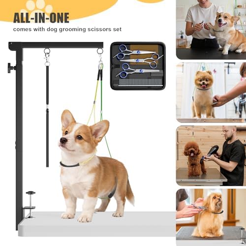 Professional grooming scissors and comb set for dogs
