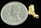 Nuggetsbygrant 1.57 grams gold nugget side scale perspective