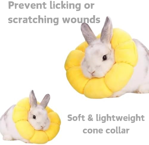 Sunflower design small pet costume and soft recovery pillow accessory.