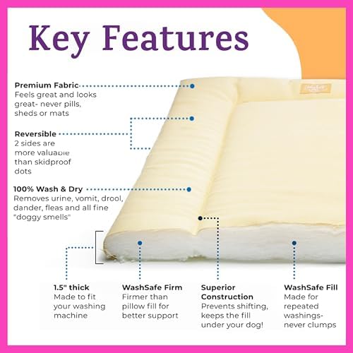 Pet Dreams non toxic flat indoor cat bed cushion in a cozy living room setting.