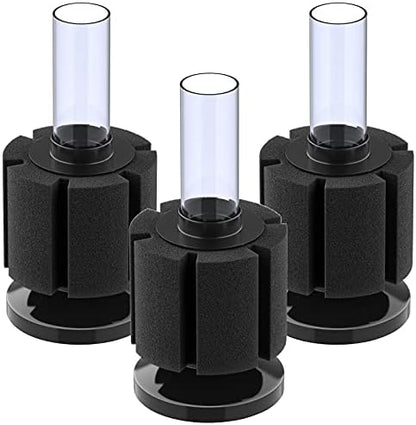 Pawfly mini sponge filter dimensions measuring 2 inches by 4.8 inches