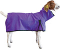 Weaver Livestock Goat Blanket medium purple front view protective livestock apparel