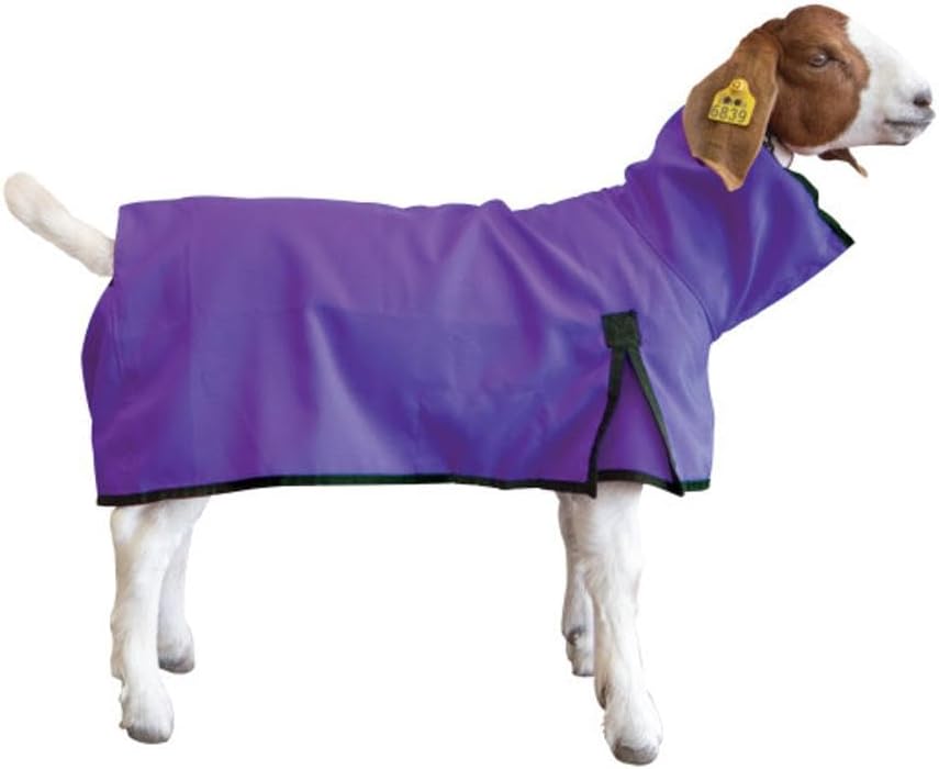 Weaver Livestock Goat Blanket medium purple front view protective livestock apparel