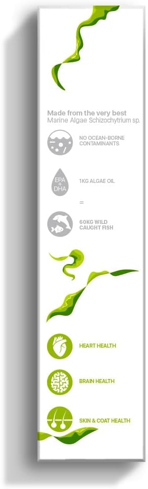 Plant based omega 3 cat liquid supplement pump bottle close up shot