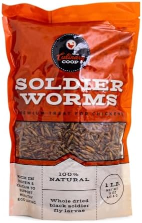 All natural black soldier fly larvae grubs for backyard chickens and poultry feed
