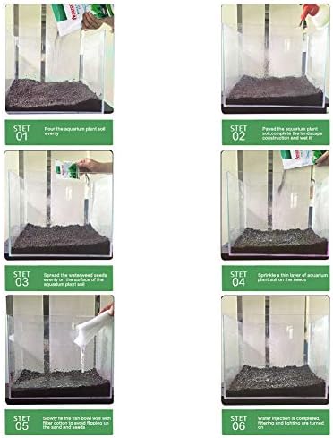 Healthy green aquatic plants in freshwater tank with dark soil